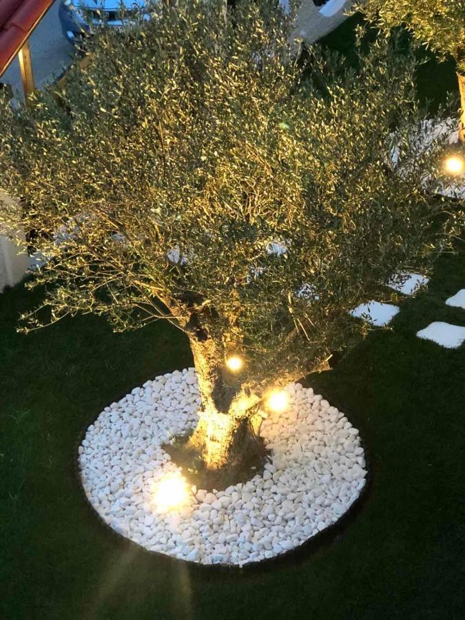 Amaryllis Luxury Rooms Platamonas Eksteriør billede